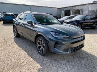 Cupra Formentor 1.5 TSI e-Hybrid picture 11