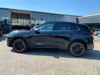 Cupra   picture 9