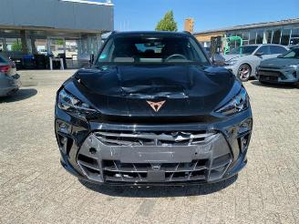 Cupra   picture 6