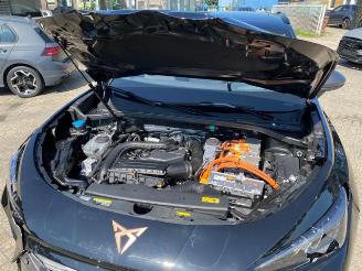 Cupra   picture 13