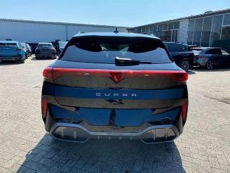 Cupra   picture 12