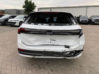 Volkswagen Passat Variant Business 2.0 TDI DSG *KAM - AHK* picture 6