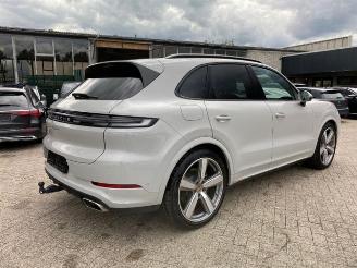 Porsche Cayenne E-Hybrid *HEAD-UP - PANO - NAVI - KAM* picture 10