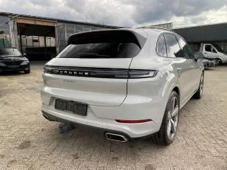 Porsche Cayenne E-Hybrid *HEAD-UP - PANO - NAVI - KAM* picture 11