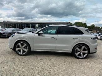 Porsche Cayenne E-Hybrid *HEAD-UP - PANO - NAVI - KAM* picture 3