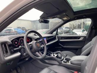 Porsche Cayenne E-Hybrid *HEAD-UP - PANO - NAVI - KAM* picture 13
