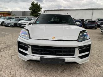 Porsche Cayenne E-Hybrid *HEAD-UP - PANO - NAVI - KAM* picture 6