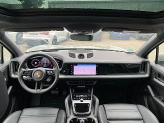 Porsche Cayenne E-Hybrid *HEAD-UP - PANO - NAVI - KAM* picture 16