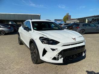 Cupra Formentor VZ e-Hybrid 200kW * AHK - KAM - NAV * picture 2