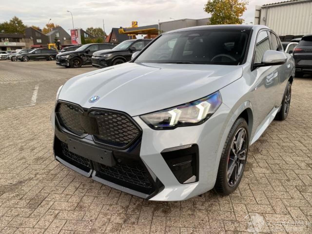 BMW iX2 eDrive20 M Sport *PANO - AHK - KAM - NAVI*