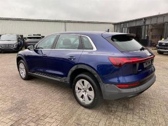 Audi E-tron 55 quattro picture 8