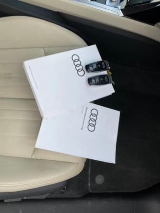 Audi E-tron Sportback 55 quattro HUD/PANO/360/B&O picture 23