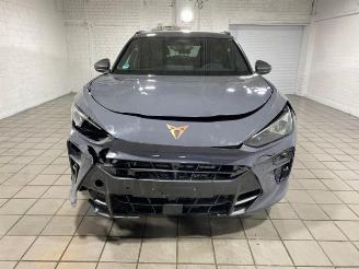 Cupra Terramar VZ e-Hybrid HUD/360/AHK/NAVI picture 5