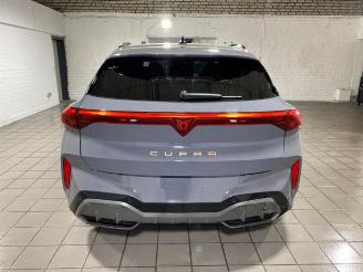 Cupra Terramar VZ e-Hybrid HUD/360/AHK/NAVI picture 10