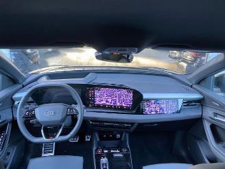 Audi SQ6 e-tron HUD/360/AHK/B&O/NAVI picture 15