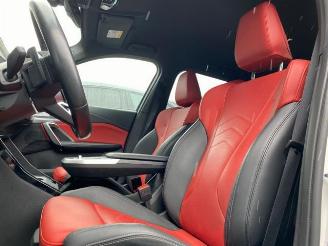 BMW X1 xDrive30e M Sport HUD/AHK/360/H&K/NAVI picture 17