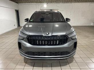 Skoda Kodiaq iV 1.5 TSI e-Hybrid Sportline HUD/360/AHK picture 10