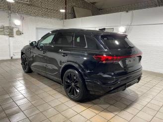 Audi Q6 e-tron quattro S line HUD/PANO/360/AHK/B&O picture 8