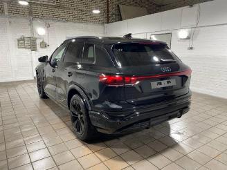 Audi Q6 e-tron quattro S line HUD/PANO/360/AHK/B&O picture 9