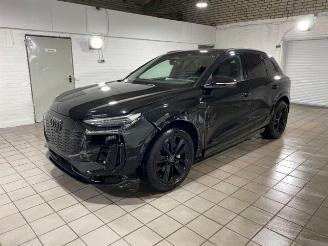 Audi Q6 e-tron quattro S line HUD/PANO/360/AHK/B&O picture 7