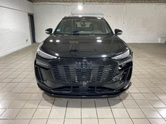 Audi Q6 e-tron quattro S line HUD/PANO/360/AHK/B&O picture 5