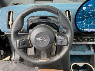 Mini Countryman E HUD/PANO/360/AHK/H&K/NAVI picture 19