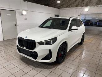 BMW X1 xDrive23d M Sport Pro PANO/HUD/360/AHK/H&K picture 6