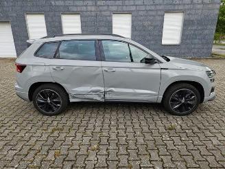 Skoda Karoq 1.5 TSI DSG Sportline KAM/NAVI picture 10