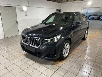 BMW X1 sDrive20i M Sport PANO/AHK/KAM/H&K/NAVI picture 4