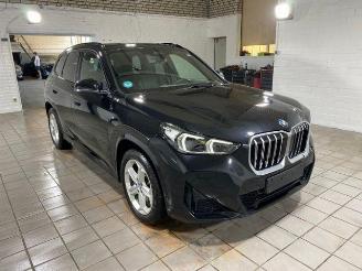 BMW X1 sDrive20i M Sport PANO/AHK/KAM/H&K/NAVI picture 6