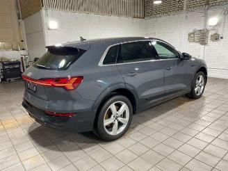 Audi Q8 e-tron 55 quattro advanced HUD/AHK/KAM/NAVI picture 2