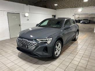 Audi Q8 e-tron 55 quattro advanced HUD/AHK/KAM/NAVI picture 6