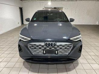 Audi Q8 e-tron 55 quattro advanced HUD/AHK/KAM/NAVI picture 5