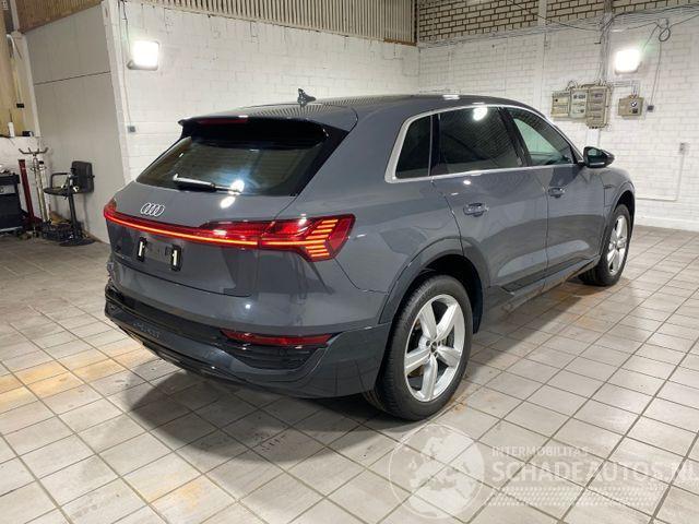 Audi Q8 e-tron 55 quattro advanced HUD/AHK/KAM/NAVI