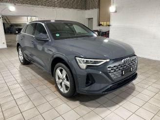 Audi Q8 e-tron 55 quattro advanced HUD/AHK/KAM/NAVI picture 4