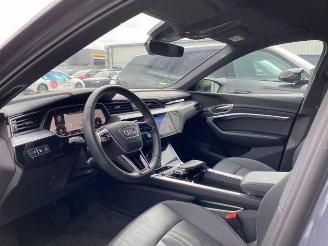 Audi Q8 e-tron 55 quattro advanced HUD/AHK/KAM/NAVI picture 12