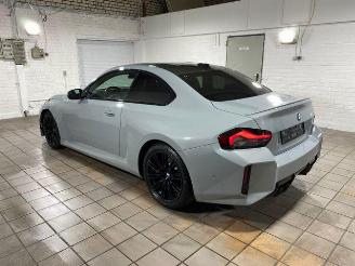 BMW M2 HUD/H&K/KAM/NAVI picture 9