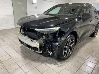 Audi SQ6 e-tron HUD/360/AHK/B&O/NAVI picture 12