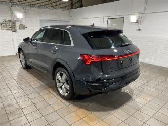Audi Q8 e-tron 55 quattro advanced HUD/AHK/KAM/NAVI picture 7