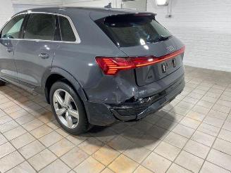 Audi Q8 e-tron 55 quattro advanced HUD/AHK/KAM/NAVI picture 12