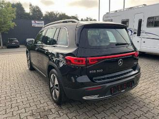 Mercedes EQB 300 4Matic KAM/NAVI picture 11