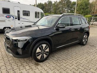 Mercedes EQB 300 4Matic KAM/NAVI picture 8