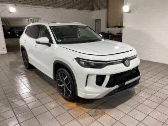 Avarii autoturisme Volkswagen Tayron 2.0 TDI DSG 4M Elegance Pano / 7-Sitzer 2025/9