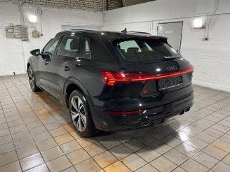  Audi Q8 e-tron 50 quattro S line HUD/360/NAVI 2024/8