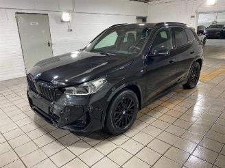 BMW iX1 xDrive30 M Sport HUD/AHK/360/NAVI picture 5