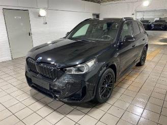 BMW iX1 xDrive30 M Sport HUD/AHK/360/NAVI picture 6