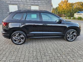 Skoda Karoq Sportline 4x4 2.0 TFSI PANO/360/NAVI picture 8