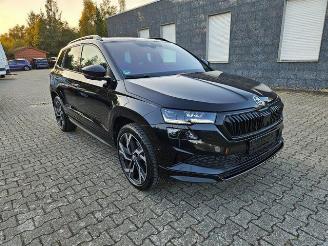 Skoda Karoq Sportline 4x4 2.0 TFSI PANO/360/NAVI picture 10