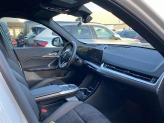 BMW iX1 xDrive30 M Sport HUD/AHK/360/H&K/NAVI picture 18
