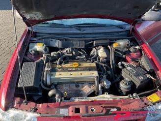 Opel Astra Astra F (53B), Cabrio, 1993 / 2001 1.8i 16V picture 14